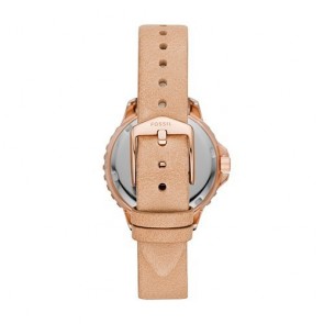 Fossil Watch  ES4888