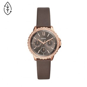 Reloj Fossil Izzy ES4889