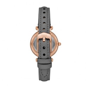 Uhr Fossil Carlie Mini ES5068