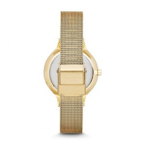 Reloj Skagen Anita SKW2150