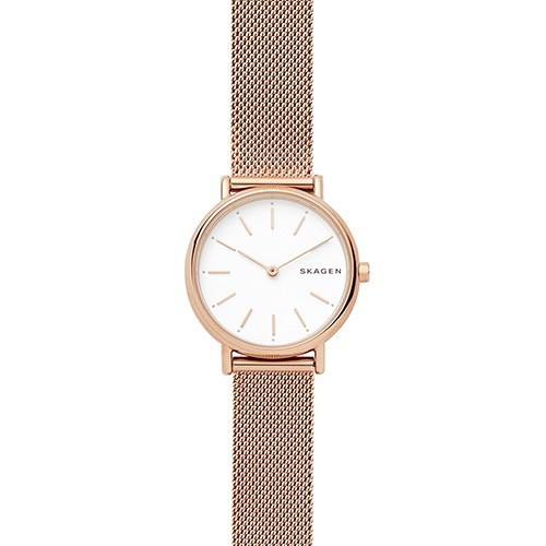 Reloj Skagen Signatur SKW2694