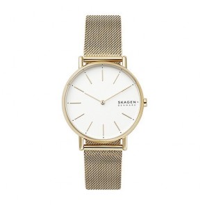 Reloj Skagen Signatur SKW2795