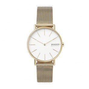 Reloj Skagen Signatur SKW2795