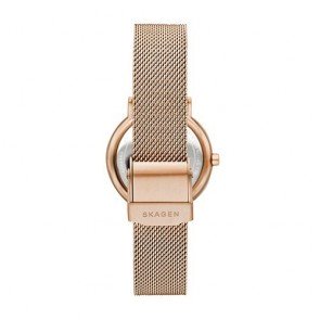 Relogio Skagen Signatur SKW2837