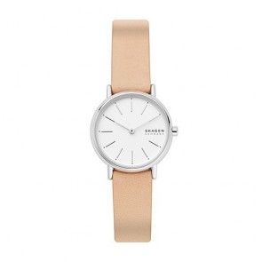 Reloj Skagen Signatur SKW2839