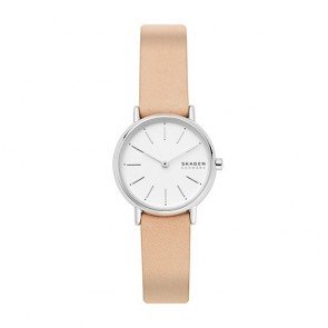 Reloj Skagen Signatur SKW2839