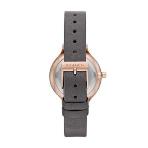 Reloj Skagen Anita SKW2909