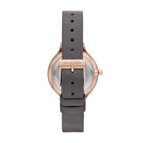 Relogio Skagen Anita SKW2909