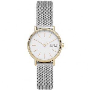 Reloj Skagen Signatur SKW2910