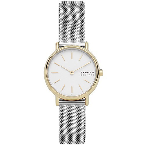 Reloj Skagen Signatur SKW2910