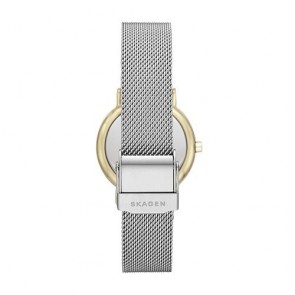 Relogio Skagen Signatur SKW2910