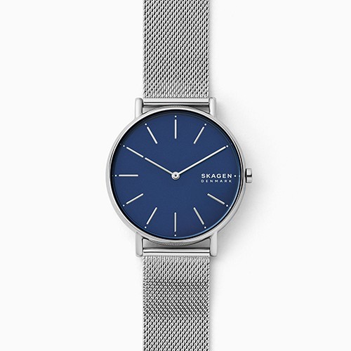 Reloj Skagen Signatur SKW2922