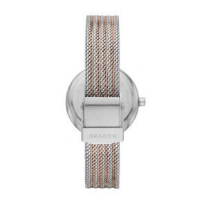 Orologio Skagen Amberline SKW2978