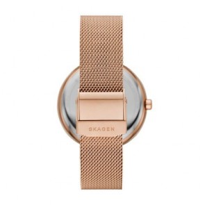 Reloj Skagen Karolina SKW2980