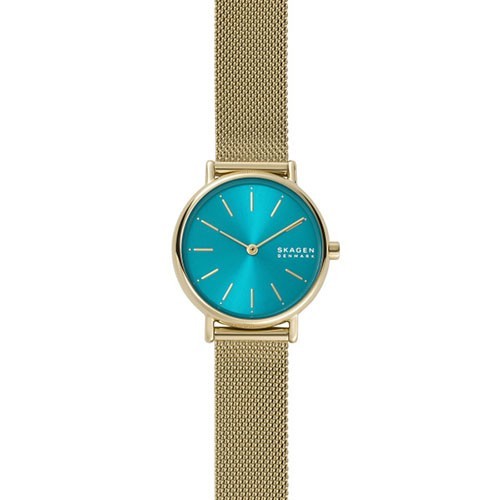Reloj Skagen Signatur SKW2984