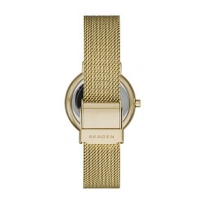Orologio Skagen Signatur SKW2984