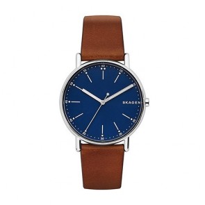 Reloj Skagen Signatur SKW6355