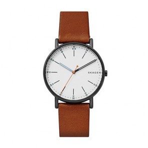 Reloj Skagen Signatur SKW6374