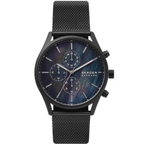 Reloj Skagen Holst SKW6651