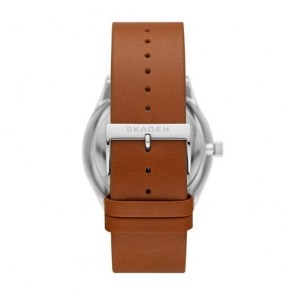 Montre Skagen Holst SKW6736