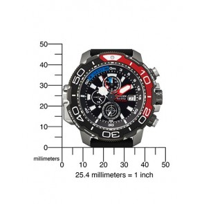 Citizen Watch Promaster BJ2167-03E Professional Diver