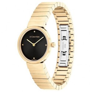 Montre Calvin Klein SWISS MADE 25000043 STANCE
