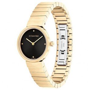 Montre Calvin Klein SWISS MADE 25000043 STANCE