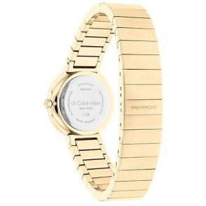Orologio Calvin Klein SWISS MADE 25000043