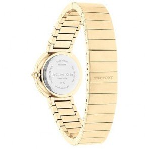 Montre Calvin Klein SWISS MADE 25000043 STANCE