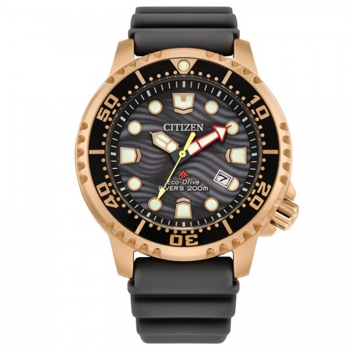 Reloj Citizen Promaster BN0163-00H