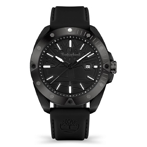 Watch Timberland Carrigan TDWGN2102904