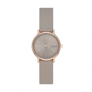 Reloj Skagen  SKW3060 SIGNATUR