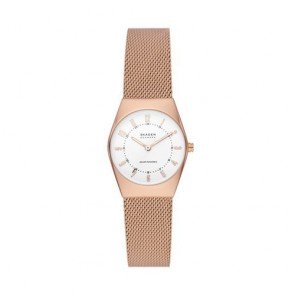 Reloj Skagen  SKW3078 GRENEN