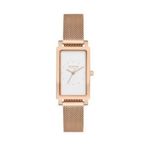 Reloj Skagen  SKW3095 HAGEN