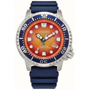 Reloj Citizen Promaster BN0169-03X Diver Professional