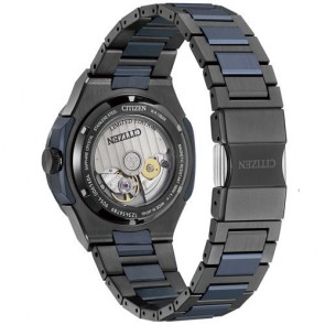 Modelos citizen clearance