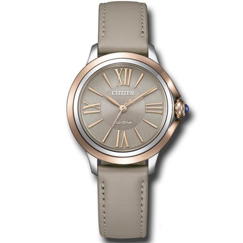 Reloj Citizen Lady EM1166-01Z