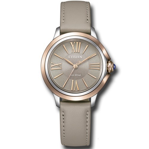 Reloj Citizen Lady EM1166-01Z