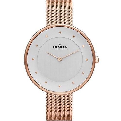 Montre Skagen SKW2142 Acier Femme