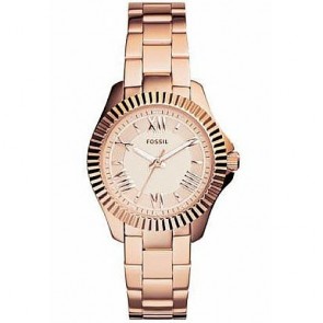 Reloj Fossil AM4611 Cecile Acero Mujer