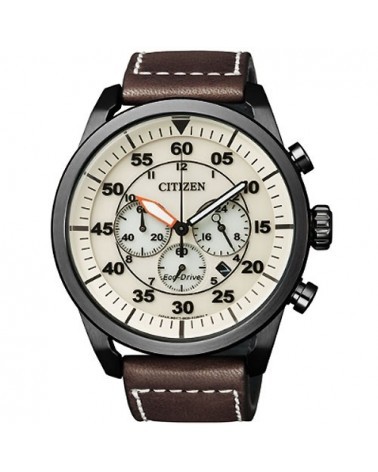 Citizen hotsell aviator watch