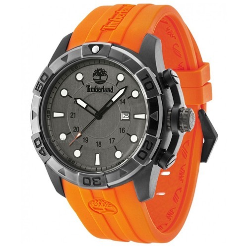 Montre Timberland Arlington 14108JSUB-61