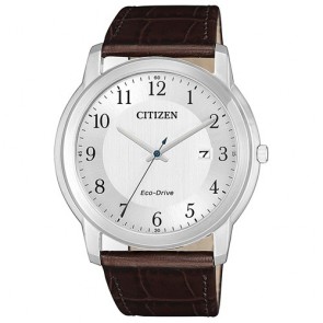 Relogio Citizen Eco Drive AW1211-12A