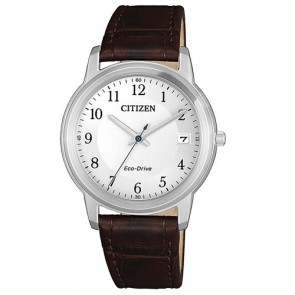 Citizen Watch Eco Drive FE6011-14A