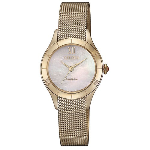 Relogio Citizen Eco Drive EM0783-85D