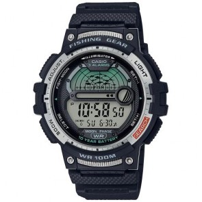 Montre Casio Collection WS-1200H-1AVEF