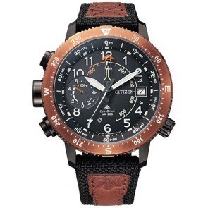 Reloj Citizen Altichron BN4049-11E