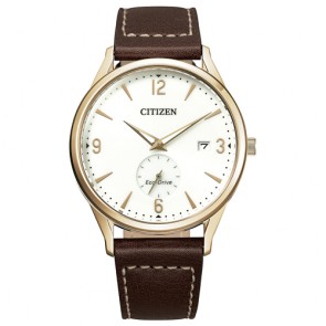 Reloj Citizen Eco Drive  BV1116-12A