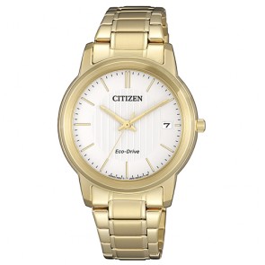 Relogio Citizen Eco Drive FE6012-89A