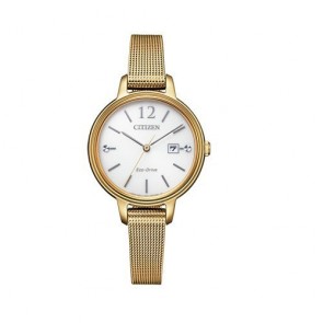 Reloj Citizen Collection EW2447-89A Eco Drive
